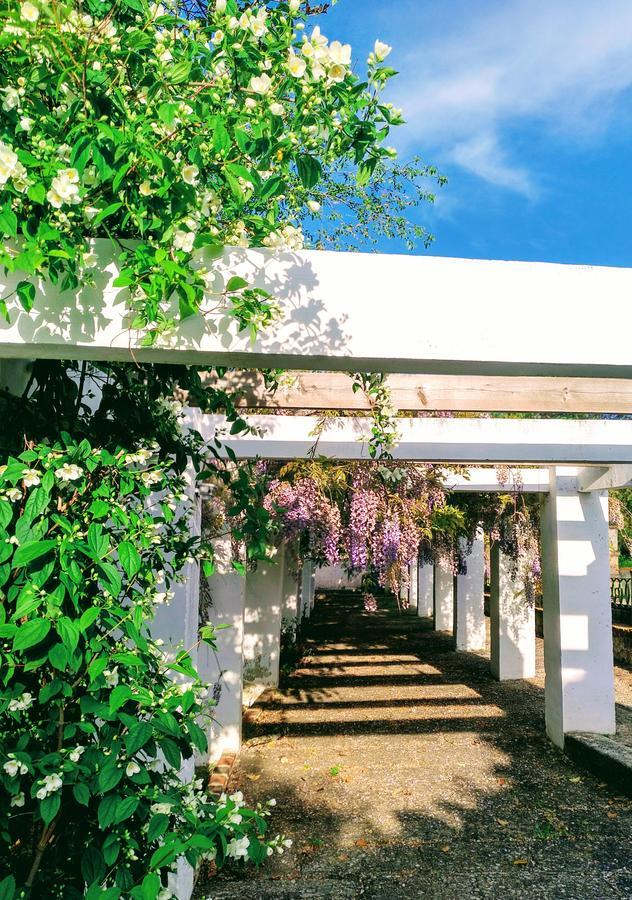 Casa Rural Castillo De Caceres Exterior photo